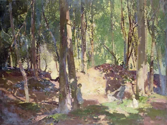 Morgen i skogen
